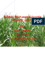 Jagung Integrated Farming System
