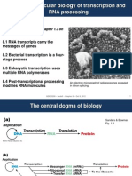 Ch8 Transcription Slides1-30 eLC