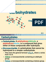 25 Carbohydrates