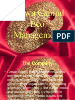 Crown Capital Eco Management - The Company