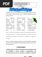 A agricultura atual é uma das principais fontes de poluição da água