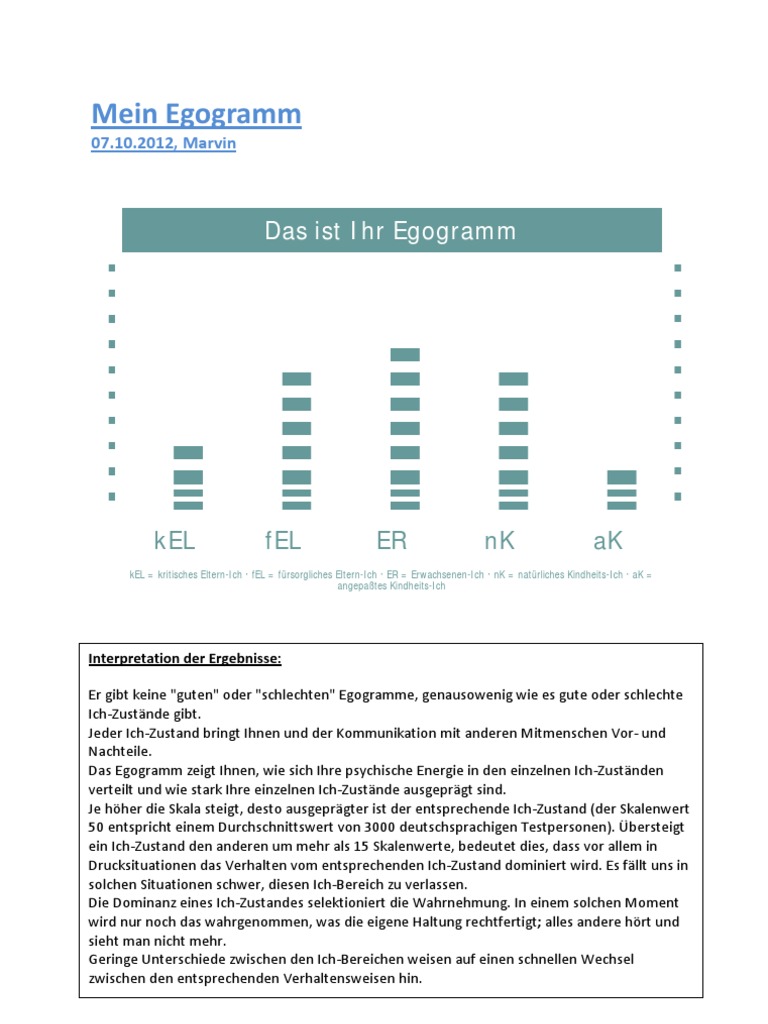 Mein Egogramm 07 | PDF