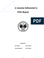 Fanconi Anemia Influential to DNA Repair