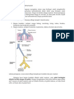 Histologi Sistem Pernafasan - Ervina