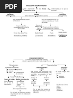 Evolucion de La Sociedad (Esuemas)