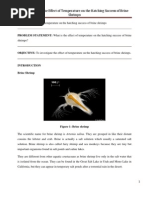 Download Brine Shrimp Report by Nurul Izzati SN109528452 doc pdf