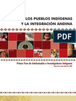 201166161329libro Indigenas