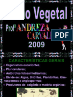 Reino Vegetal- Carlos Barros