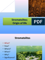 Stromatolites: Origin of earliest life forms