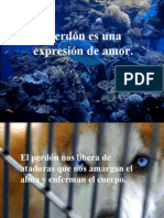 El Perdon