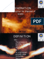 Incineration 1