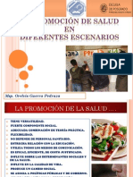 Promocion de Salud en Distintos Escenarios Conferencia 2