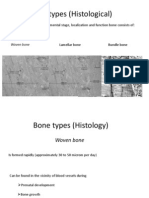 Bone y Types Qaulity