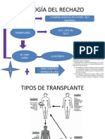 Presentación2.pptx ANATOPATOMAÑANA!!!!!!!!!!