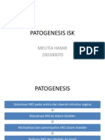 Patogenesis Isk