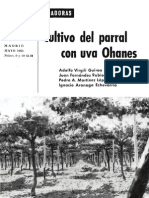 El Cultivo Del Parral Con Uva Oanes 1965