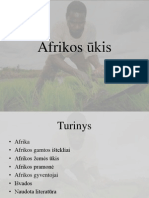 Afrikos Ūkis