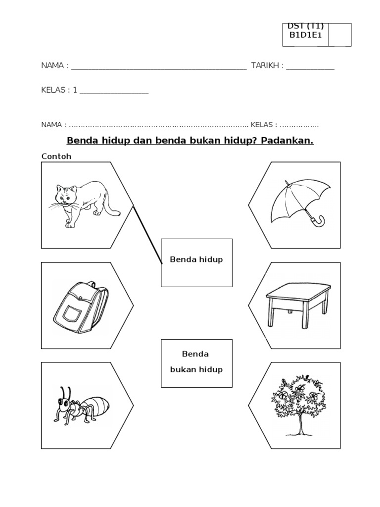 Lembaran Kerja Benda Hidup Dan Bendukan Hidup Dst Tahun 1 Pdf
