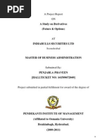 Download project on derivatives futures and options by Naresh Naik Nagineni SN109735321 doc pdf