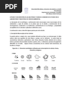 Diagnostico Microbiologico Koneman Pdf Descargar