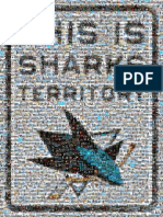 Sharks Territory Picture Mosaic