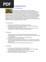 Download Sistem Budidaya Padi Gogo Rancah by Mhayind Maaii SN109774556 doc pdf