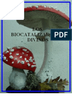 20988393 Los Biocatalizadores Divinos