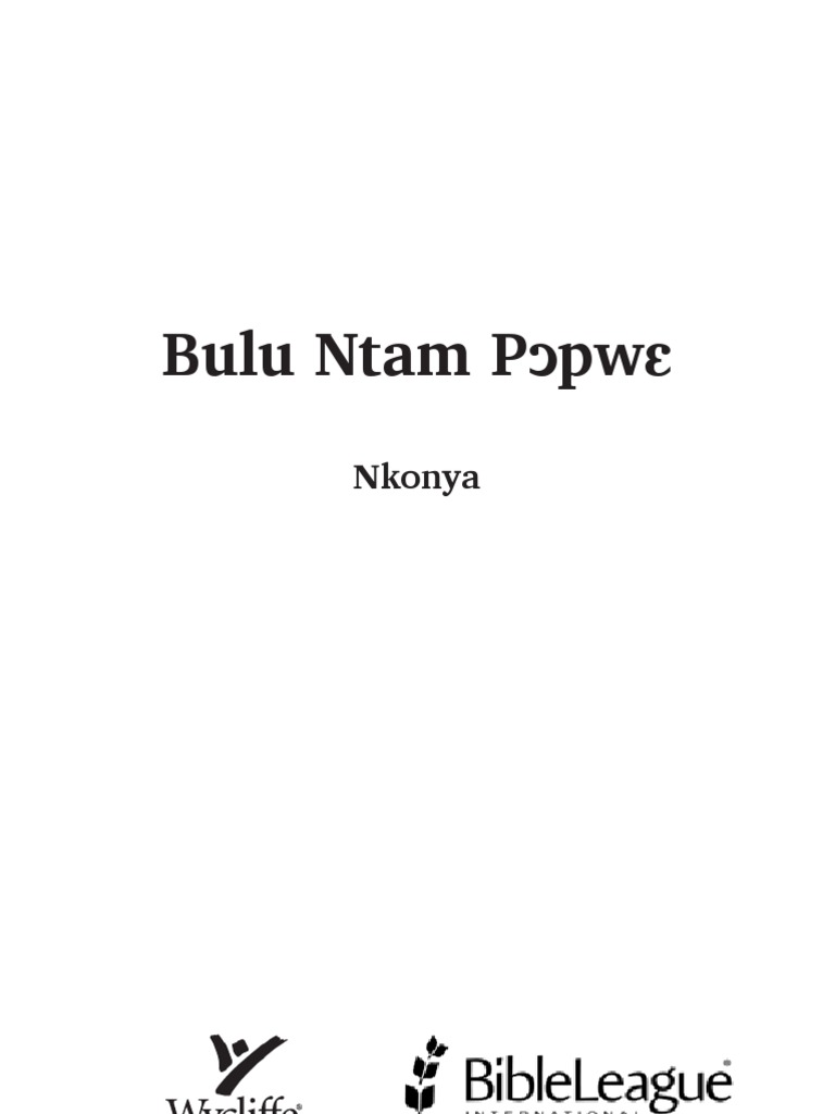 Nkonya Bible - New Testament | PDF | Eternal Life (Christianity) | Holy ...