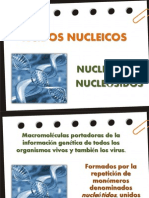 acidosnucleicos-2012