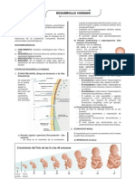 Psicología - II Parte