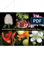 Flowering Plants and Civilization Part 1