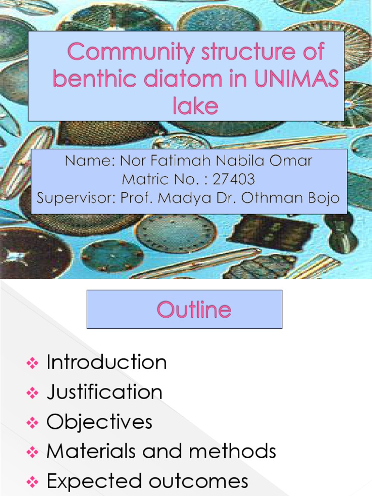Community Structures of Benthic Diatoms in UNIMAS Lake | PDF | Benthic ...
