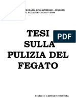 Tesi Sulla Pulizia Del Fegato