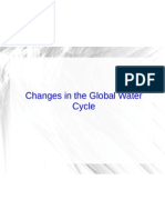 Changes in The Global Water Cycle