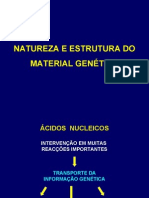 Natureza e Estrutura Do Material Genético - BM 2007