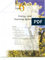 Chapter 6-Energy and Nutrient Relations