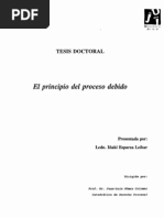 EL PRINCIPIO DEL PROCESO DEBIDO - IÃ‘AKI ESPARZA LEIBAR