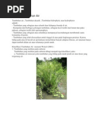 Download campur1byRamsesBandalXSN109951678 doc pdf