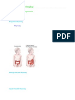 Askep Hisprung Terlengkap