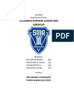 Pengaruh Hormon Auksin Dan Gliberelin Terhadap Pertumbuhan Tanaman