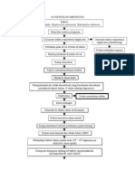 Pathway Meningitis