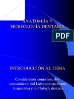 tesisANATOMÍA Y MORFOLOGÍA DENTAL