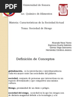 Como Funciona La Sociedad de Riesgo