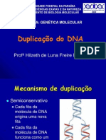 Duplicação Do DNA