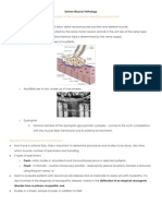 Zaman Muscle Pathology