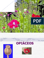 OPIÁCEOS