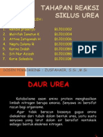 Daur Urea 