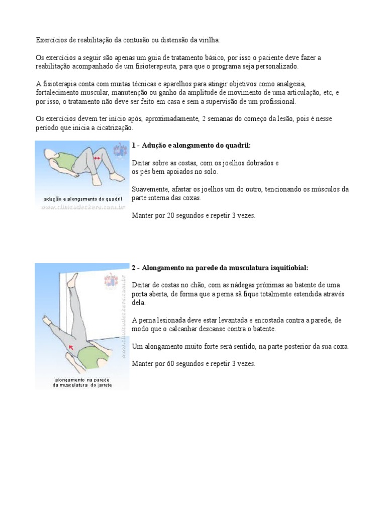 Exercícios de Reabilitação Da Contusão Ou Distensão Da Virilha PDF Músculo Joelho