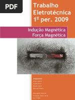 Indução - Força Magnética