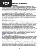 Download ContohMakalahKesehatanIbuHamilbyNugrohoCahyoWSN110064487 doc pdf